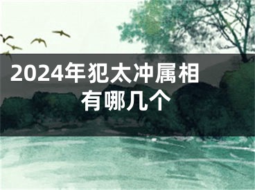 2024年犯太冲属相有哪几个