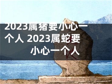 2023属猪要小心一个人 2023属蛇要小心一个人