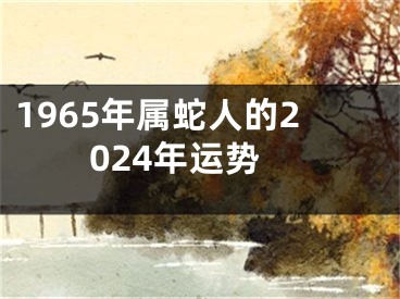 1965年属蛇人的2024年运势