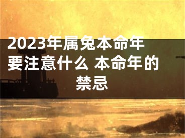 2023年属兔本命年要注意什么 本命年的禁忌