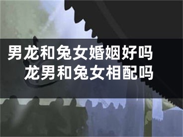 男龙和兔女婚姻好吗 龙男和兔女相配吗