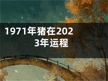 1971年猪在2023年运程