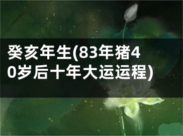 癸亥年生(83年猪40岁后十年大运运程)