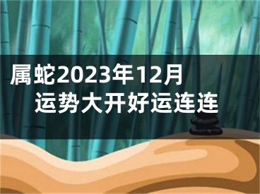 属蛇2023年12月运势大开好运连连