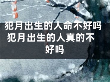犯月出生的人命不好吗 犯月出生的人真的不好吗