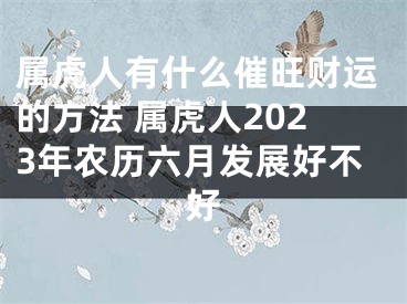 属虎人有什么催旺财运的方法 属虎人2023年农历六月发展好不好