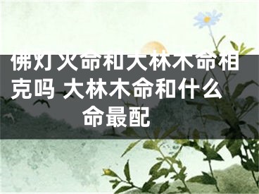 佛灯火命和大林木命相克吗 大林木命和什么命最配 