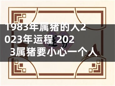 1983年属猪的人2023年运程 2023属猪要小心一个人