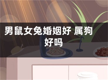 男鼠女兔婚姻好 属狗好吗