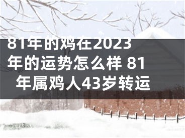 81年的鸡在2023年的运势怎么样 81年属鸡人43岁转运