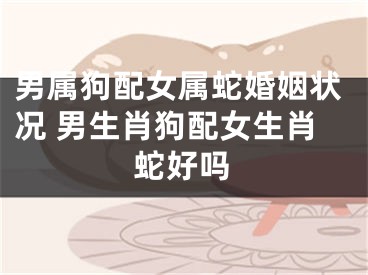 男属狗配女属蛇婚姻状况 男生肖狗配女生肖蛇好吗