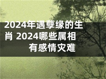 2024年遇孽缘的生肖 2024哪些属相有感情灾难