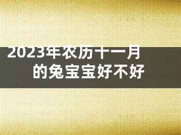 2023年农历十一月的兔宝宝好不好