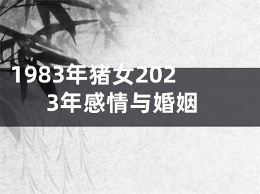 1983年猪女2023年感情与婚姻