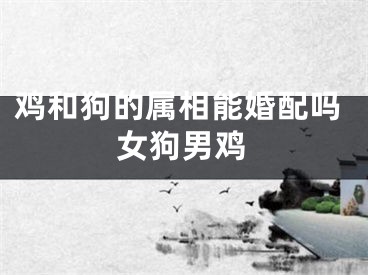 鸡和狗的属相能婚配吗女狗男鸡