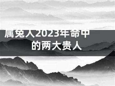 属兔人2023年命中的两大贵人