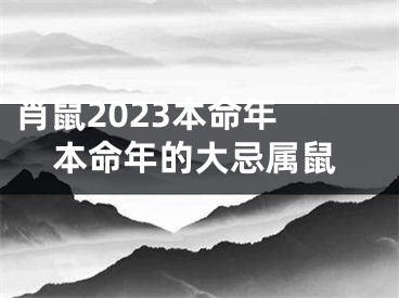 肖鼠2023本命年 本命年的大忌属鼠