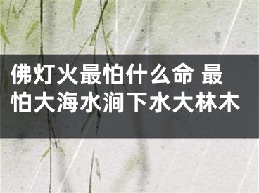 佛灯火最怕什么命 最怕大海水涧下水大林木