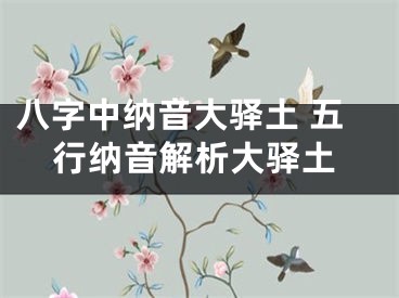 八字中纳音大驿土 五行纳音解析大驿土