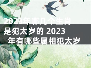 2023年哪几个生肖是犯太岁的 2023年有哪些属相犯太岁
