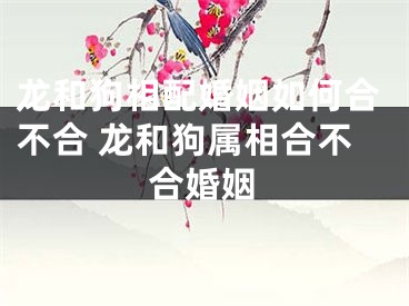龙和狗相配婚姻如何合不合 龙和狗属相合不合婚姻