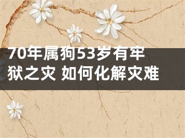 70年属狗53岁有牢狱之灾 如何化解灾难