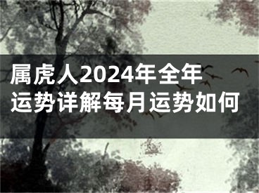 属虎人2024年全年运势详解每月运势如何