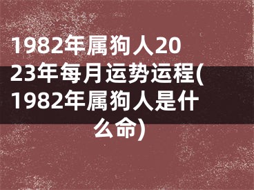 1982年属狗人2023年每月运势运程(1982年属狗人是什么命)