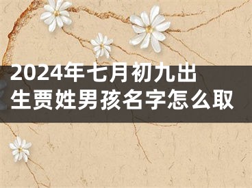 2024年七月初九出生贾姓男孩名字怎么取