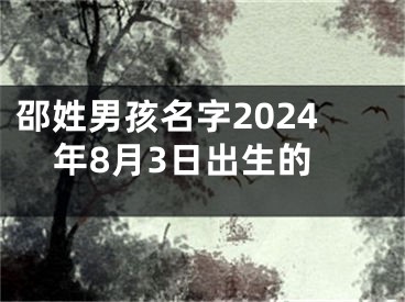 邵姓男孩名字2024年8月3日出生的