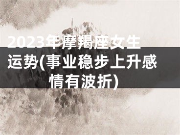 2023年摩羯座女生运势(事业稳步上升感情有波折)
