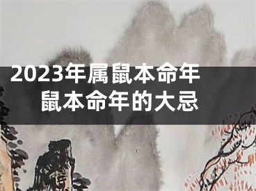 2023年属鼠本命年 鼠本命年的大忌