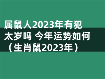 属鼠人2023年有犯太岁吗 今年运势如何（生肖鼠2023年）