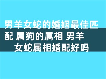 男羊女蛇的婚姻最佳匹配 属狗的属相 男羊女蛇属相婚配好吗