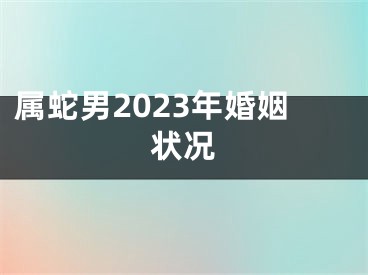 属蛇男2023年婚姻状况