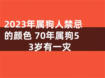 2023年属狗人禁忌的颜色 70年属狗53岁有一灾