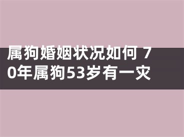 属狗婚姻状况如何 70年属狗53岁有一灾