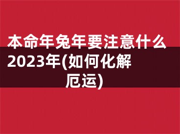 本命年兔年要注意什么2023年(如何化解厄运)