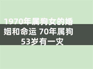1970年属狗女的婚姻和命运 70年属狗53岁有一灾