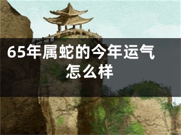 65年属蛇的今年运气怎么样
