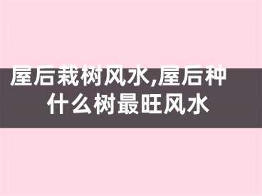 屋后栽树风水,屋后种什么树最旺风水