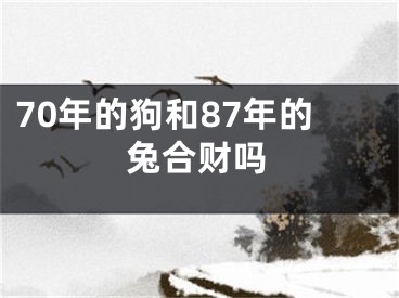 70年的狗和87年的兔合财吗