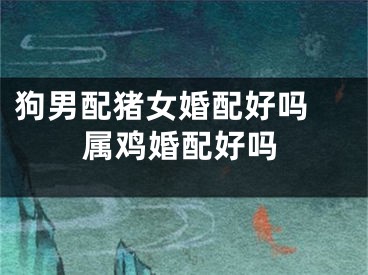 狗男配猪女婚配好吗 属鸡婚配好吗