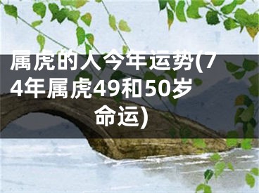 属虎的人今年运势(74年属虎49和50岁命运)