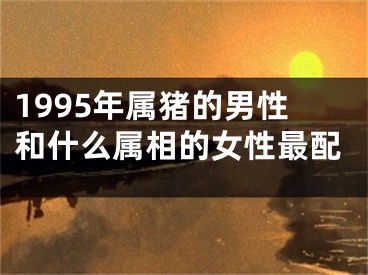 1995年属猪的男性和什么属相的女性最配