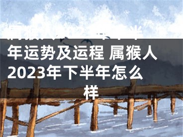 属猴人2023年下半年运势及运程 属猴人2023年下半年怎么样