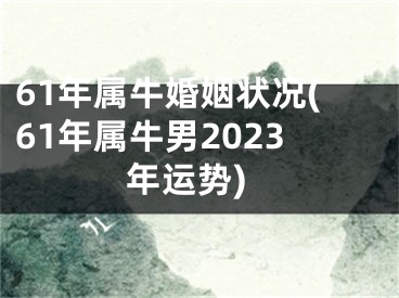 61年属牛婚姻状况(61年属牛男2023年运势)