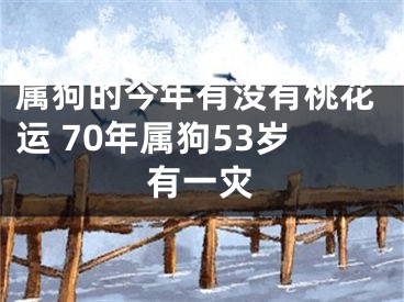 属狗的今年有没有桃花运 70年属狗53岁有一灾
