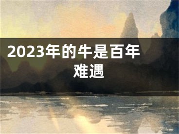 2023年的牛是百年难遇
