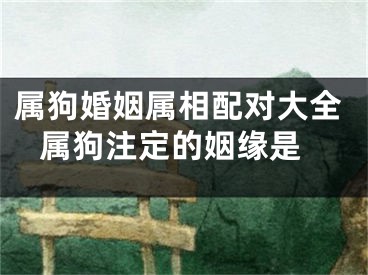 属狗婚姻属相配对大全 属狗注定的姻缘是